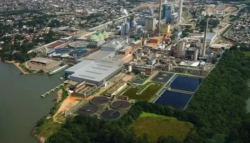 Ilustração da notícia Gigante da celulose ameaça transferir investimento de R$ 27 bilhões para o Paraguai após impasse ambiental